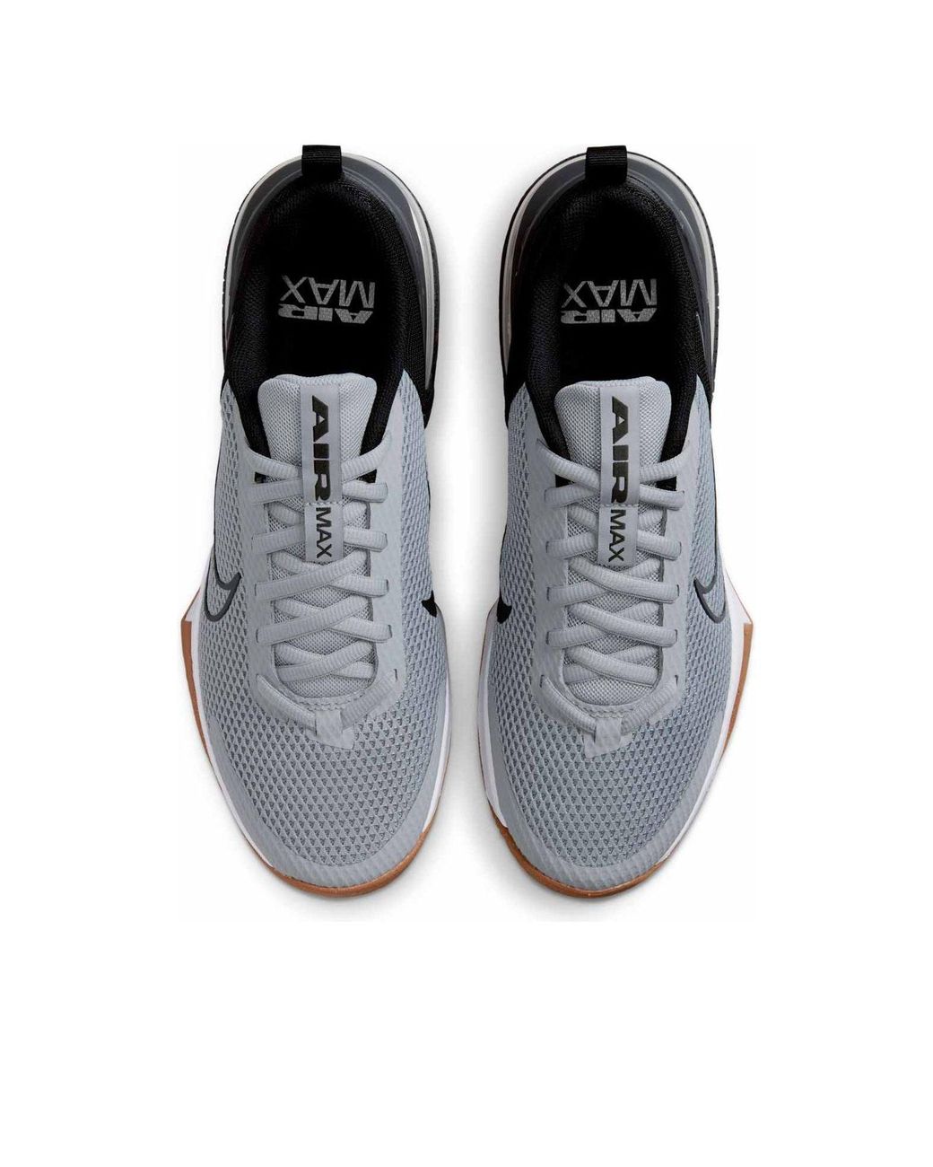 Nike Black Air Max Alpha Trainer 6 Workout Shoes for men