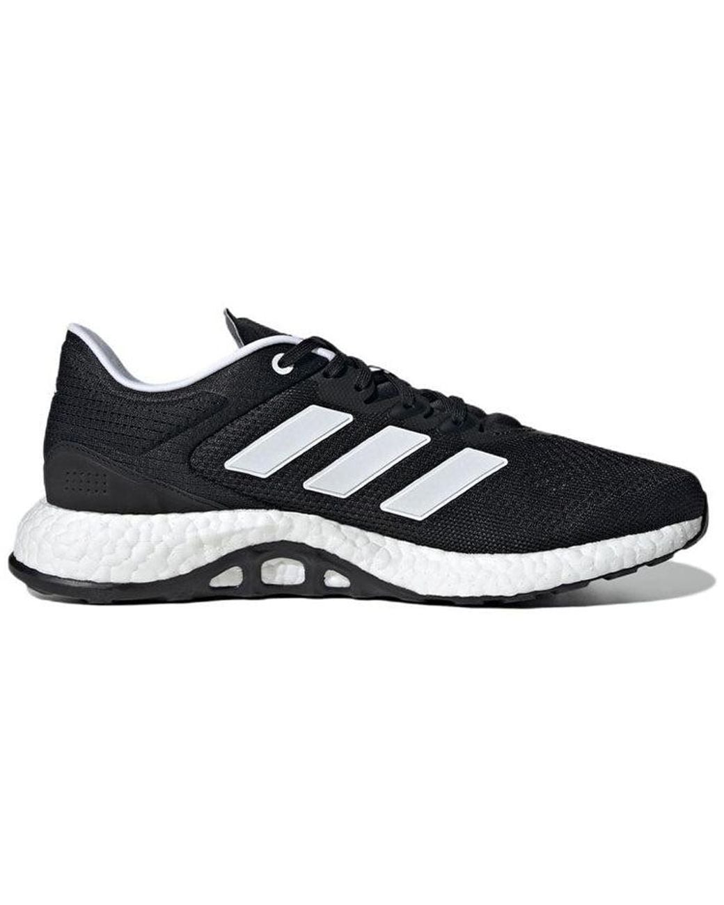 Adidas Blue Pureboost Q2 Cozy Breathable for men