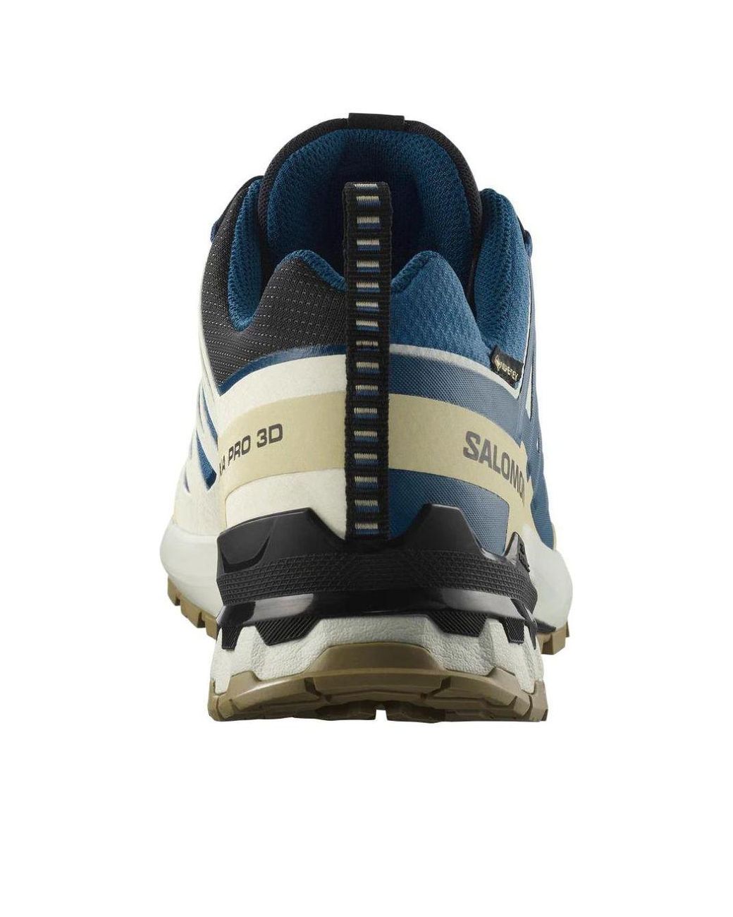 Salomon Blue Xa Pro 3D V9 Trail Running Shoe for men
