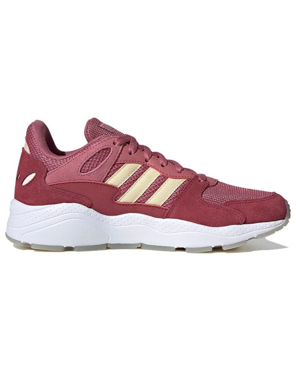 Adidas Purple (Wmns) Neo Chaos