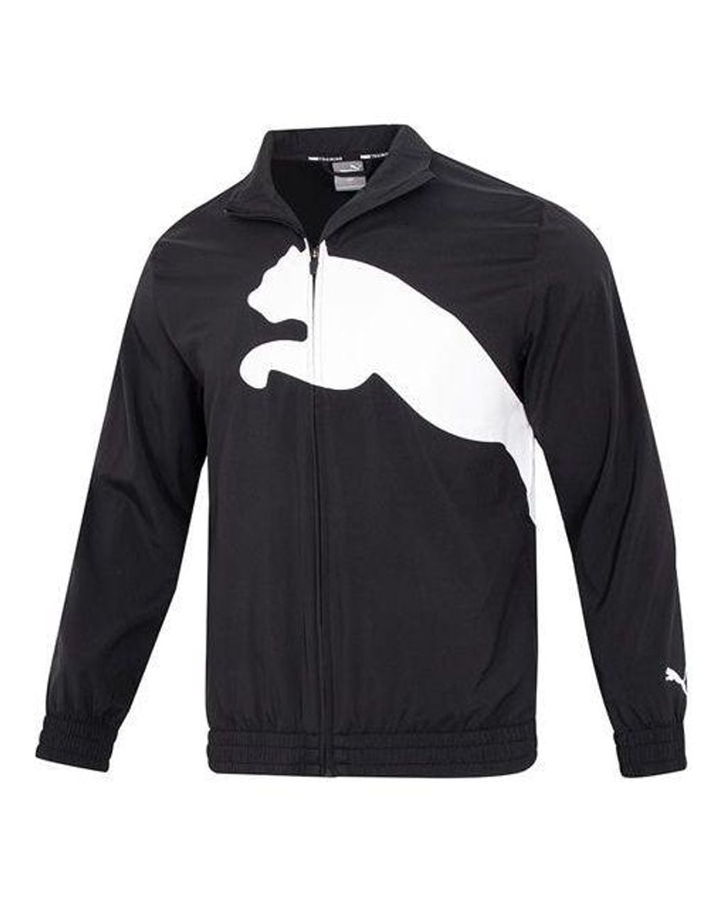 PUMA Blue Training Big Cat Lined Woven Jacket for men