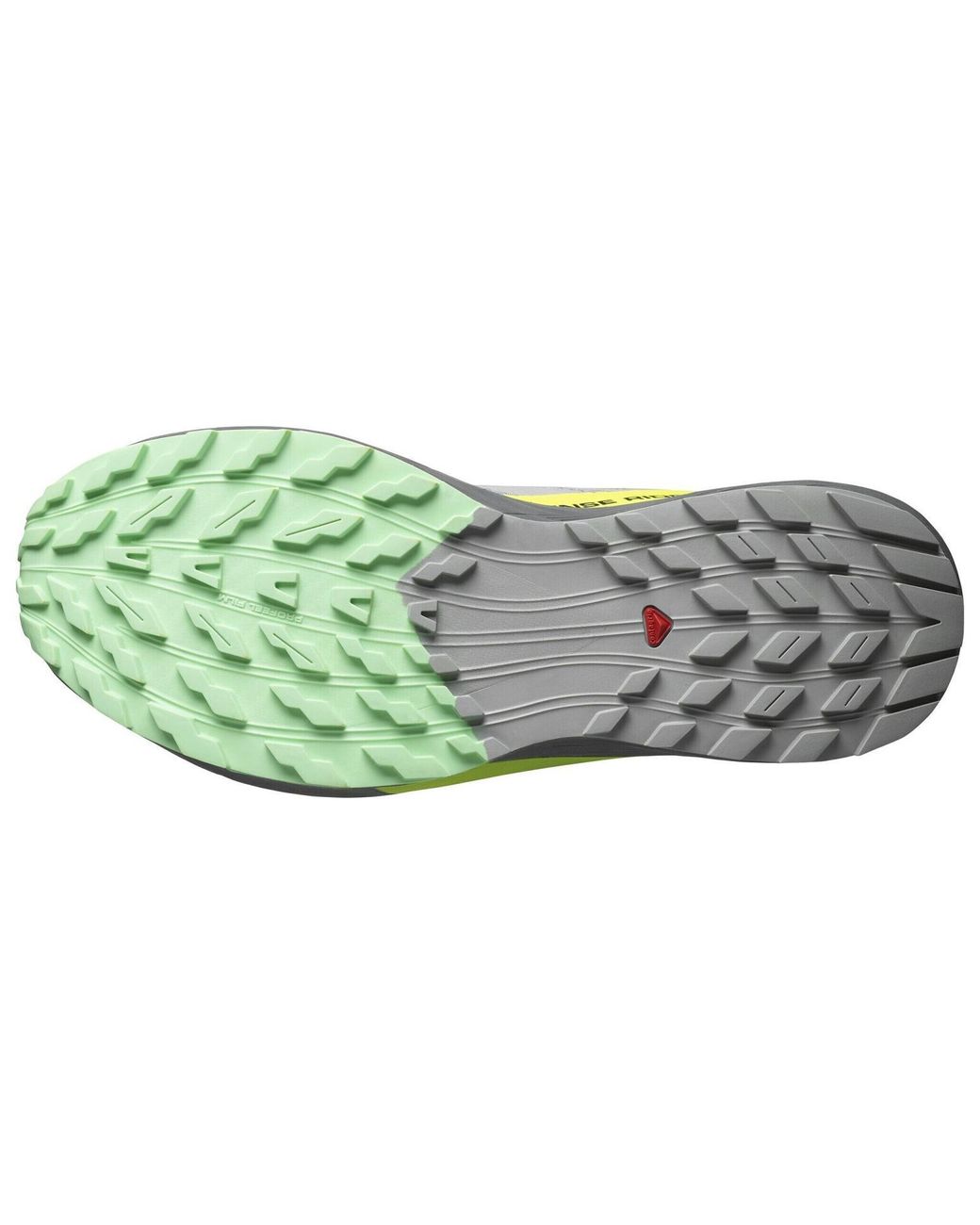 Salomon Blue Sense Ride 5 for men