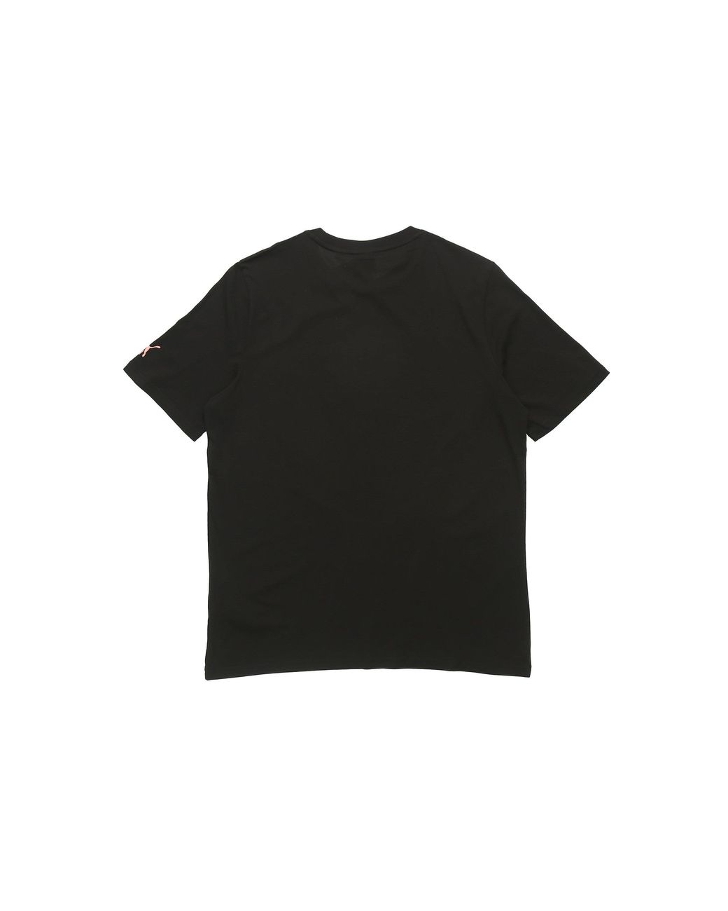 PUMA Black Summer Graphic T-Shirt for men