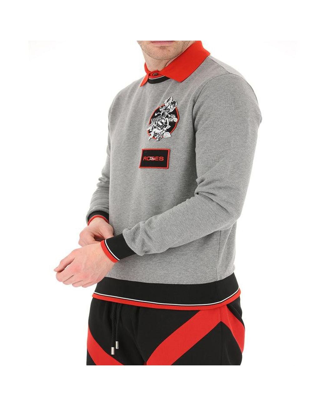 Dior Gray Rose Embroidered Cotton Crewneck Pullover For for men