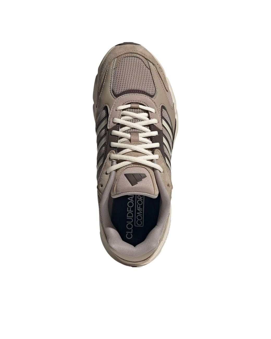Adidas Brown Crazychaos 2000 for men