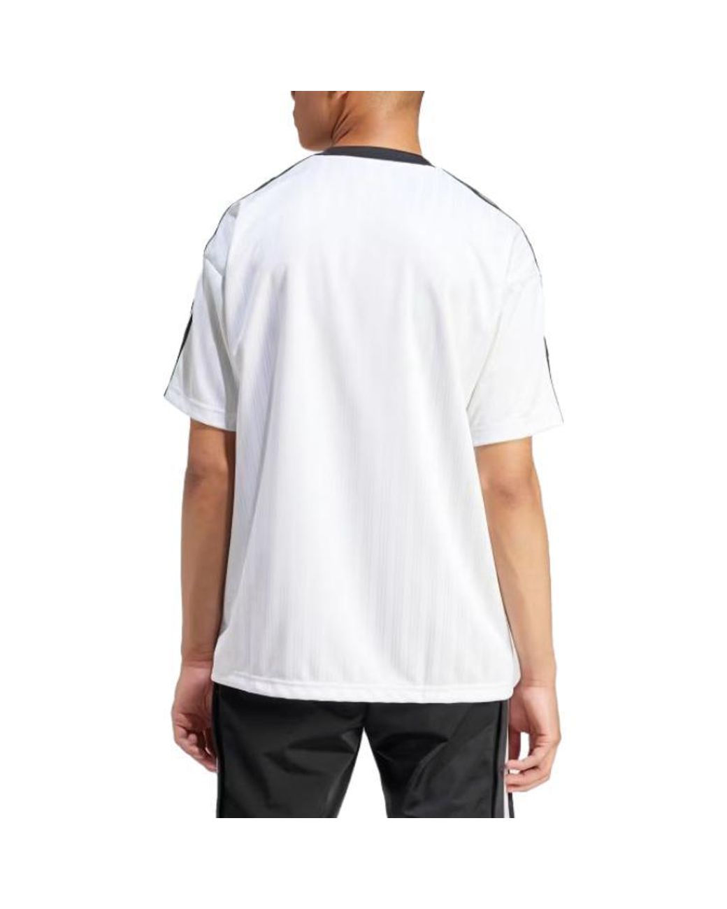 Adidas White Adicolor Tee Asia Sizing for men