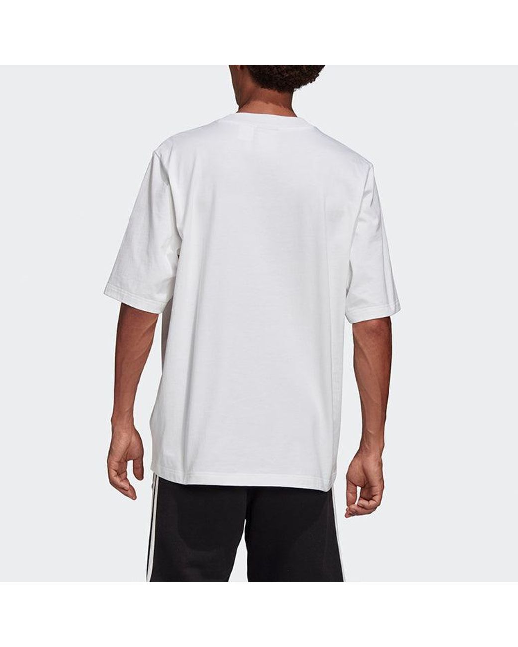 Adidas White Originals Graphic Tee Printing Short Sleeve for men