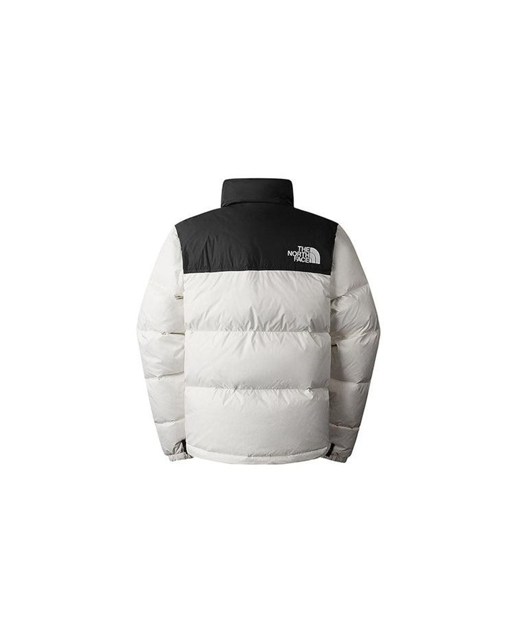 The North Face Black Feather Down High-Neck Jacket for men