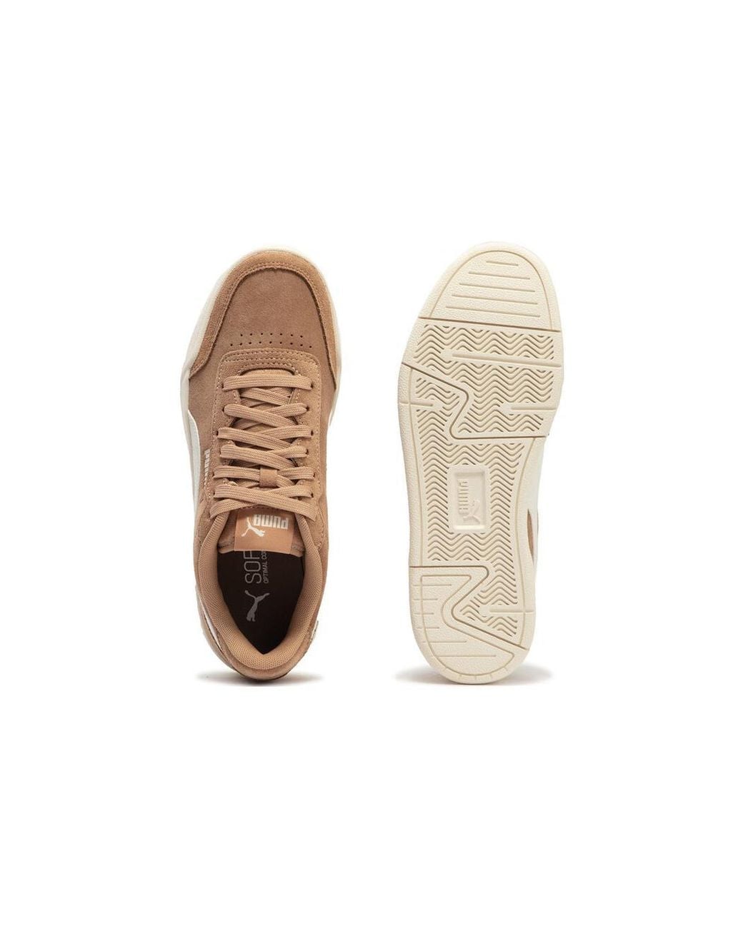 PUMA Natural Caracal Sd
