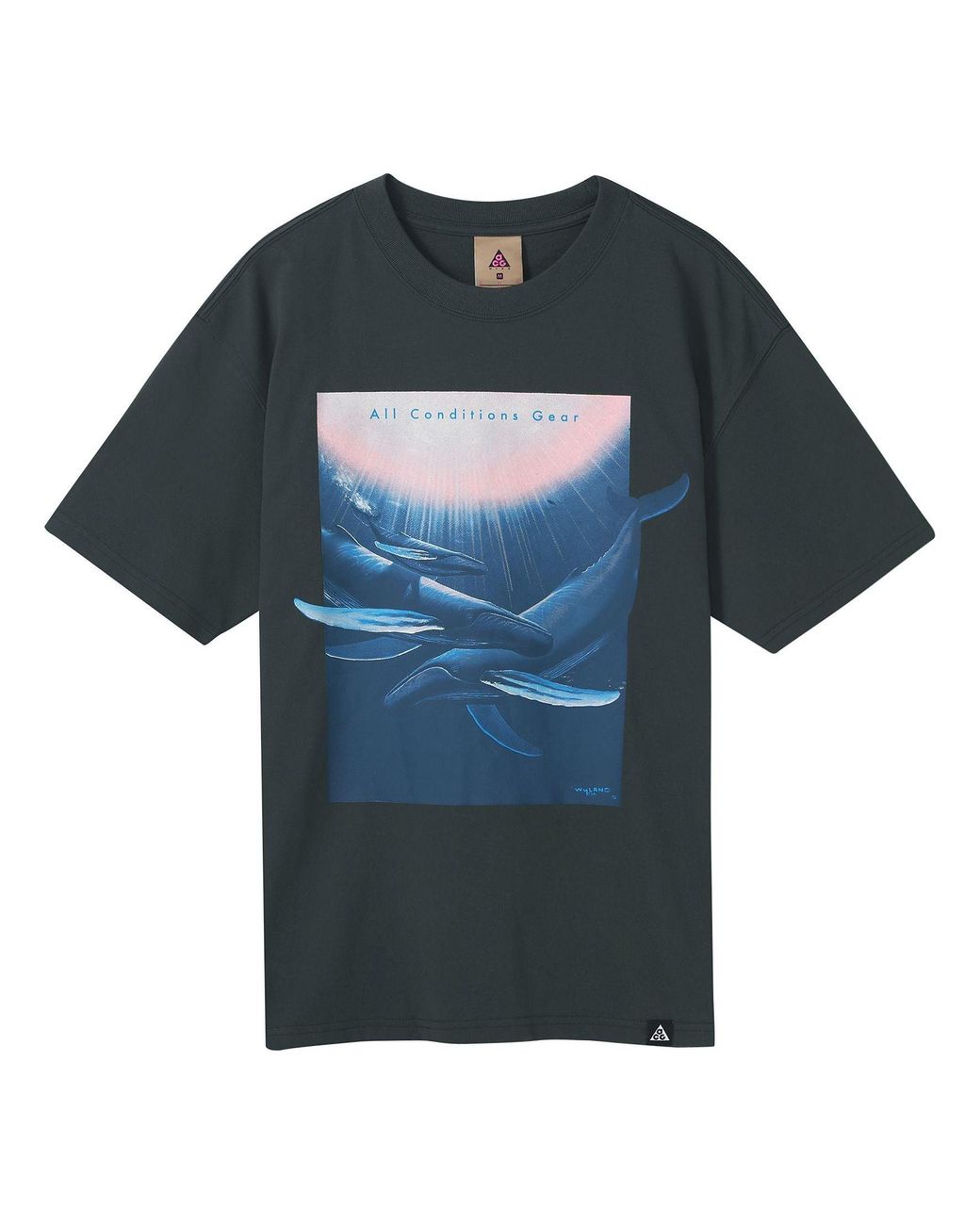 Nike Blue Acg Wyland Funny Printing Sports Loose Round Neck Short Sleeve for men