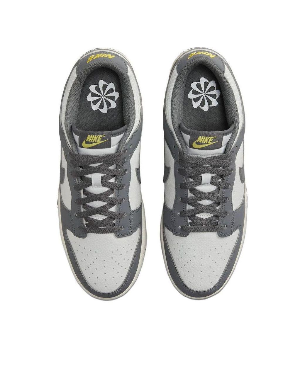 Nike Gray Dunk Low Next Nature 'Smoke' for men