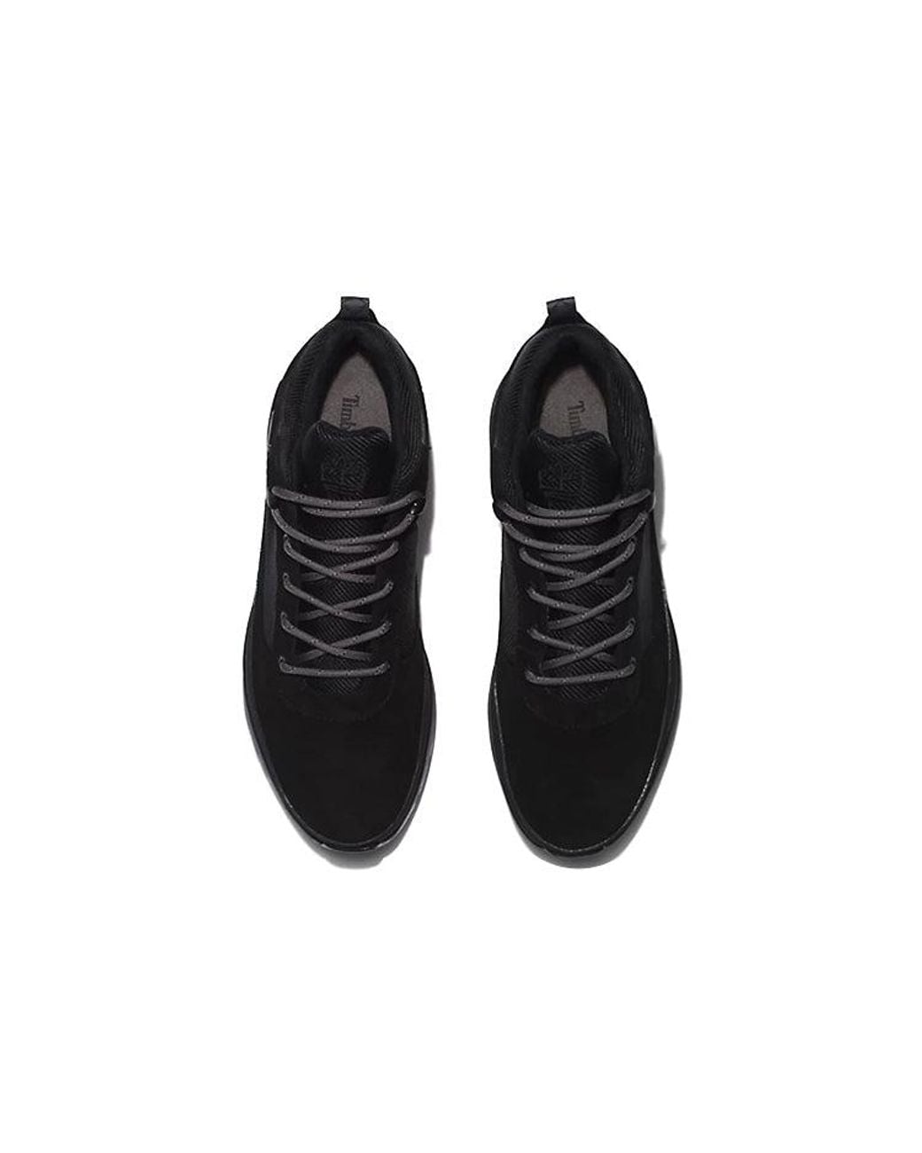 Timberland Black Field Trekker Waterproof Low Sneaker for men