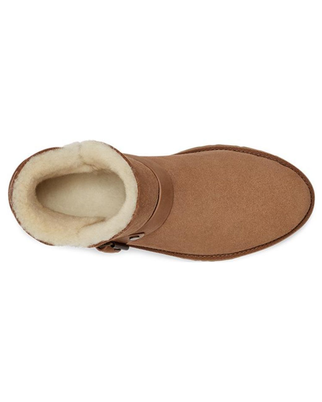 Ugg Brown (Wmns) Romely Short Buckle Boot
