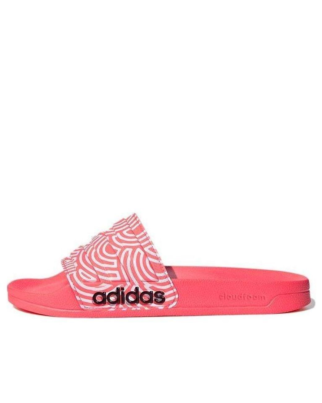 Adidas Pink (Wmns) Adilette