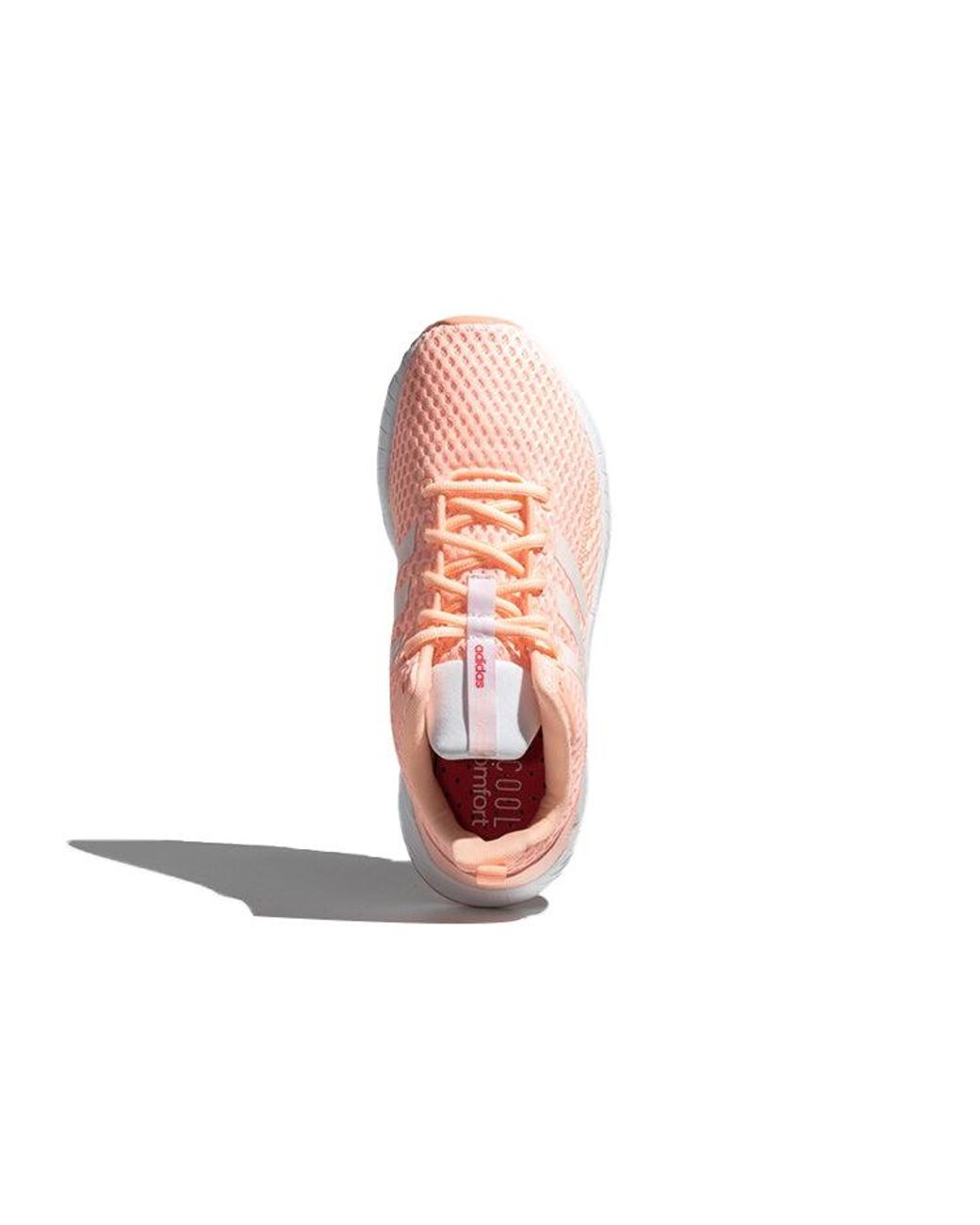 Adidas Pink (Wmns) Neo Questar Climacool