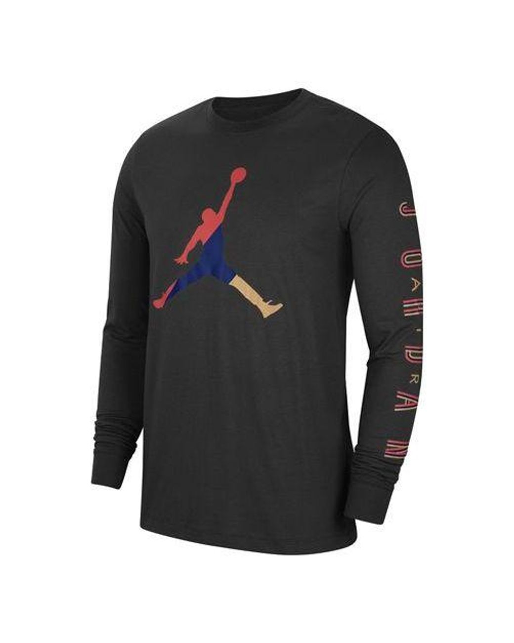 Nike Gray Multi-Color Alphabet Logo Long Sleeves for men