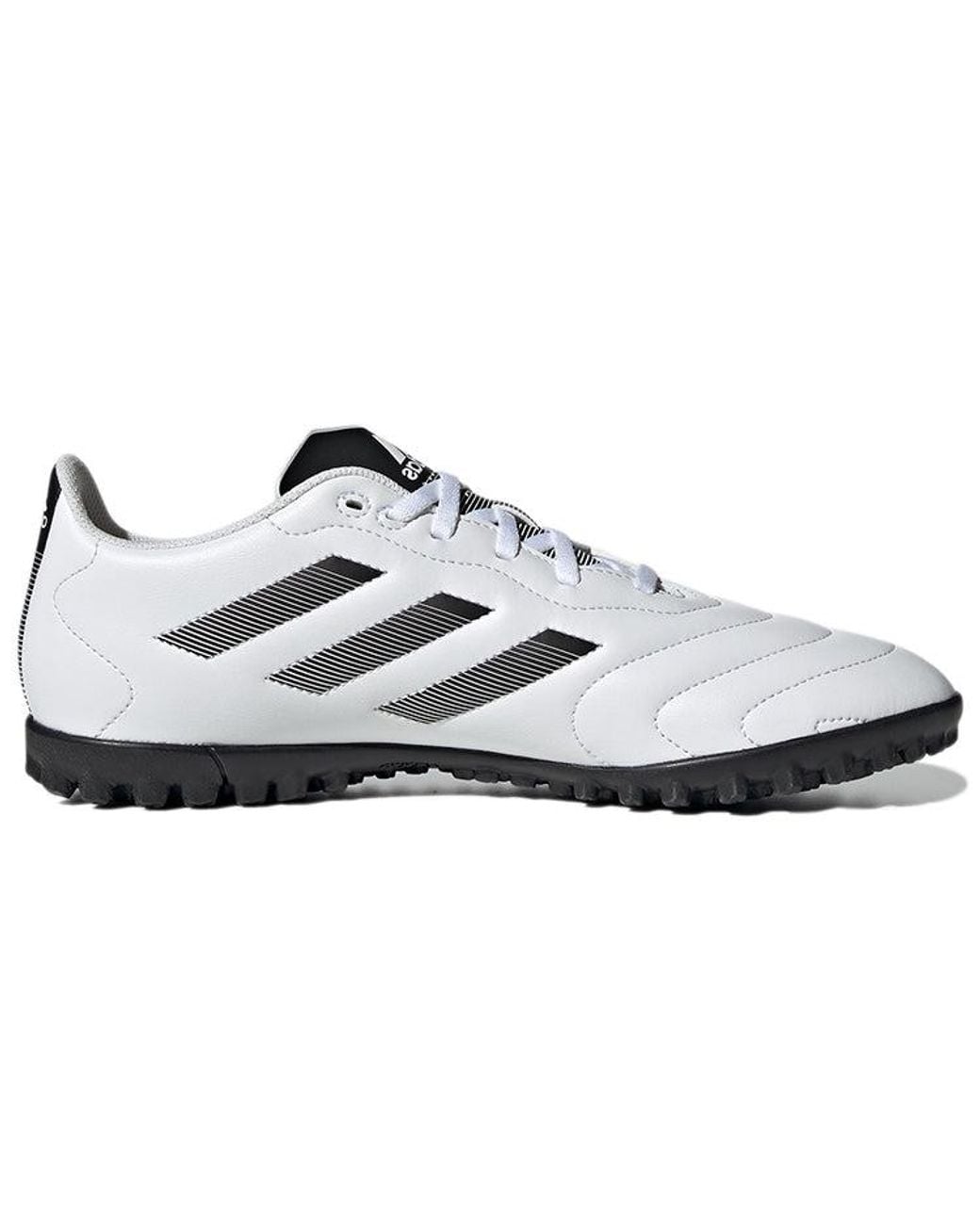 Adidas White Goletto Viii Tf for men