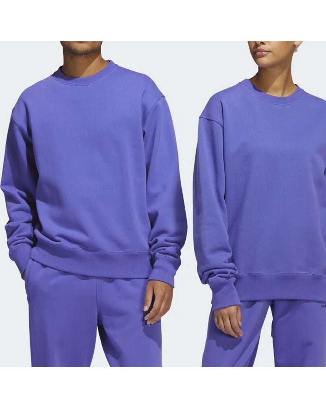 Adidas Blue X Pharrell Basic Sports Sweatshirt for men