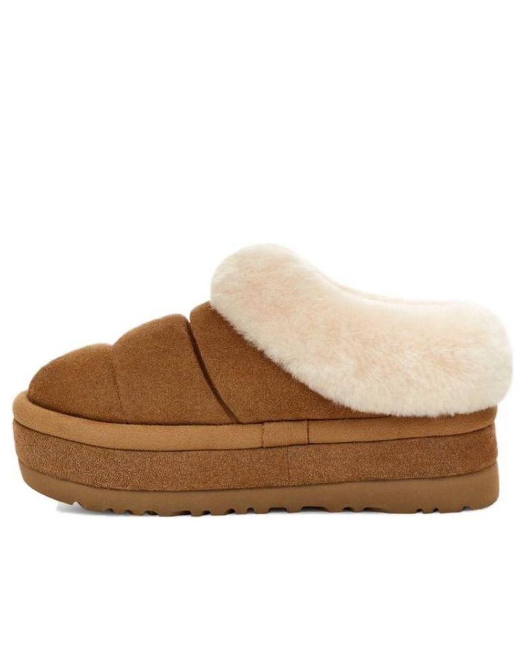 Ugg Brown (Wmns) Tazzlita 'Chestnut'