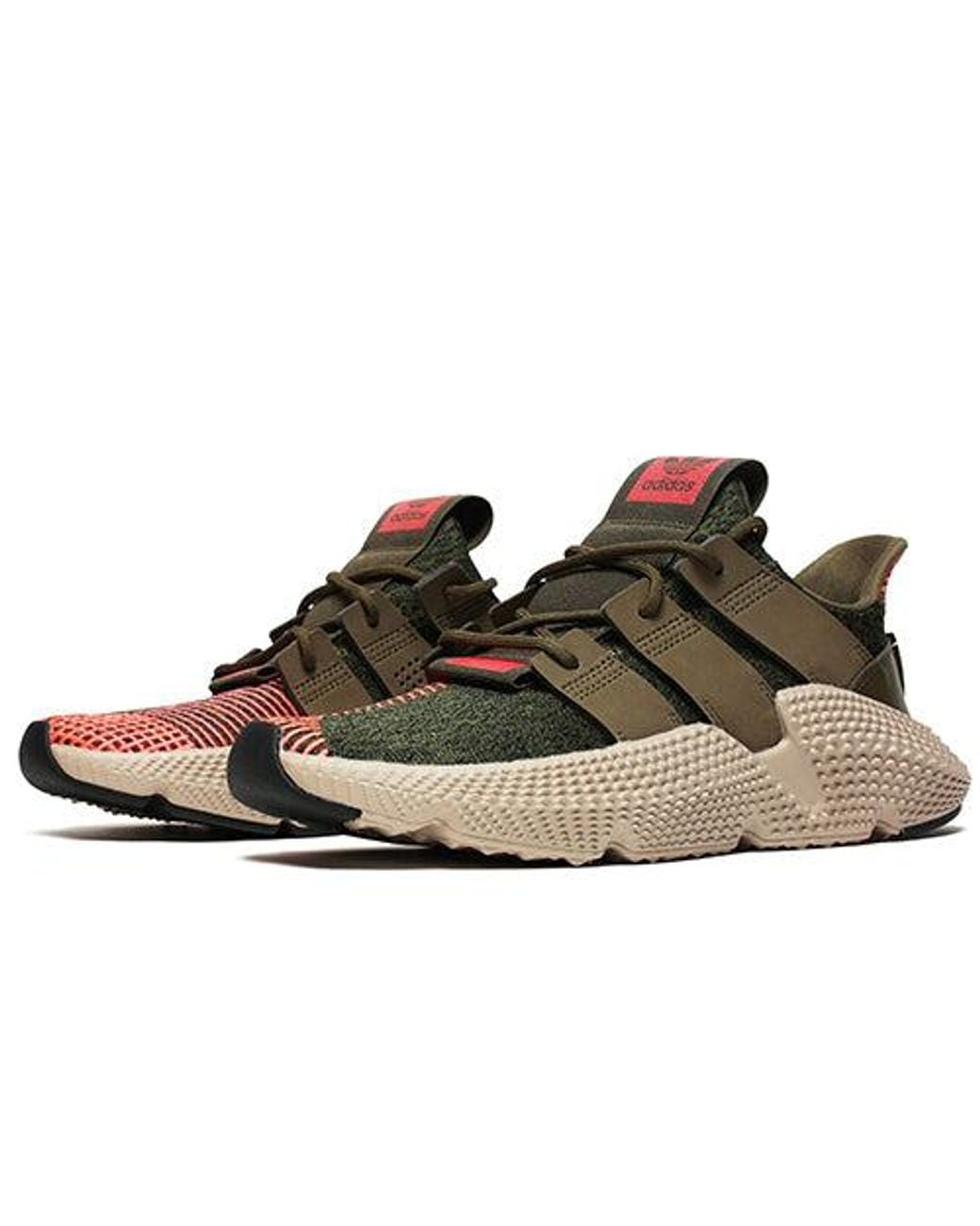 Adidas Brown Prophere 'Trace' for men