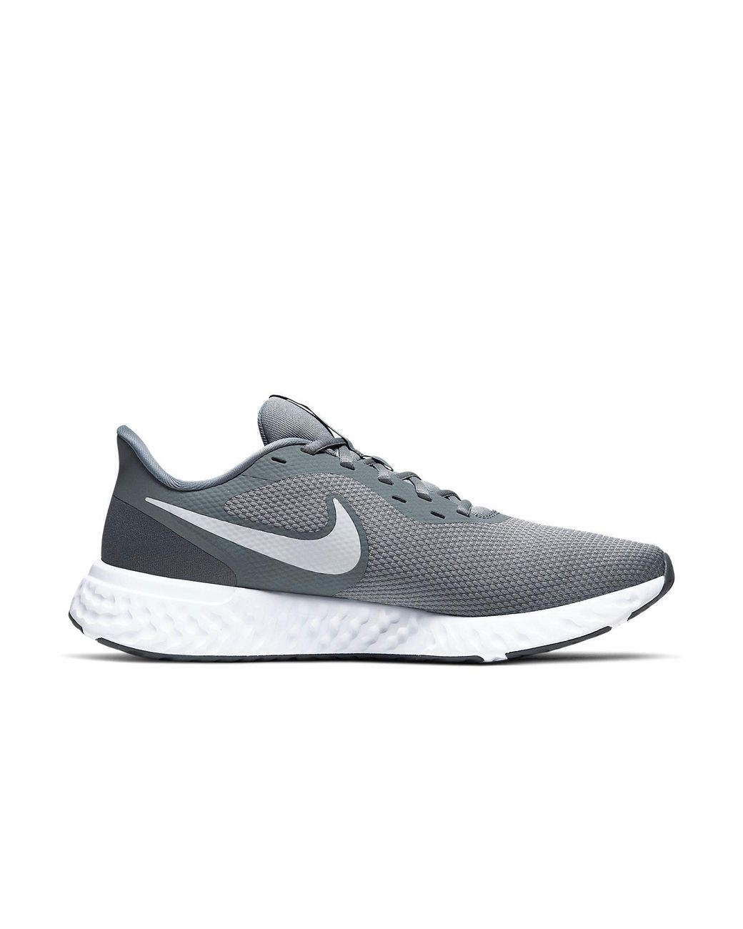 Nike Blue Revolution 5 'Cool' for men