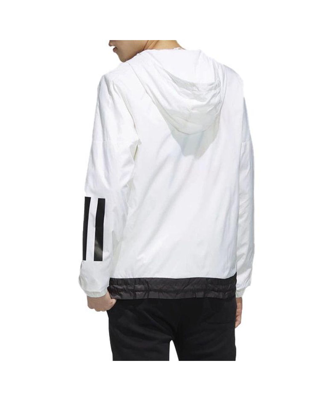 Adidas Blue Neo Mickey Casual Sports Hooded Jacket for men