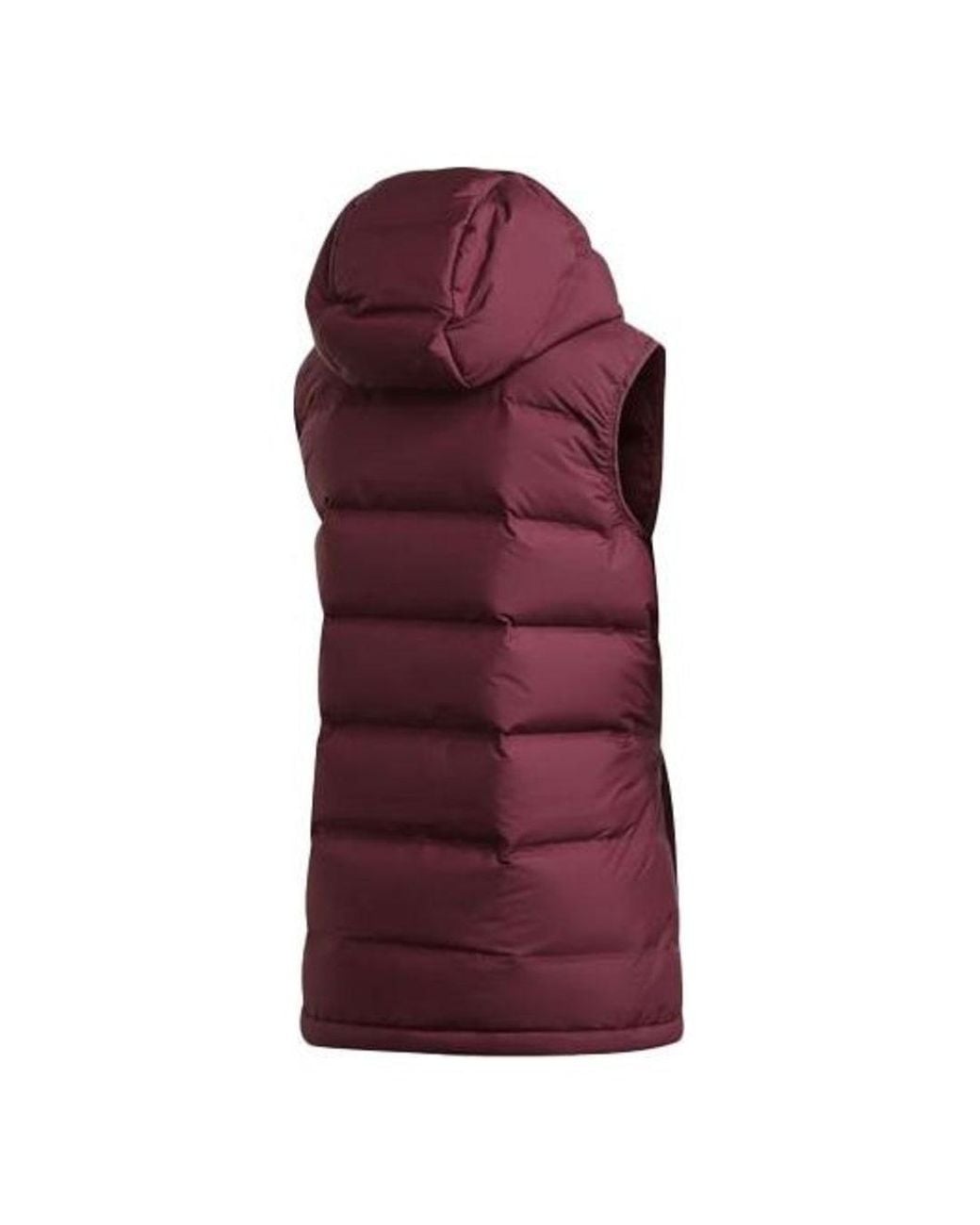 Adidas Purple (Wmns) Terrex Helionic Vest