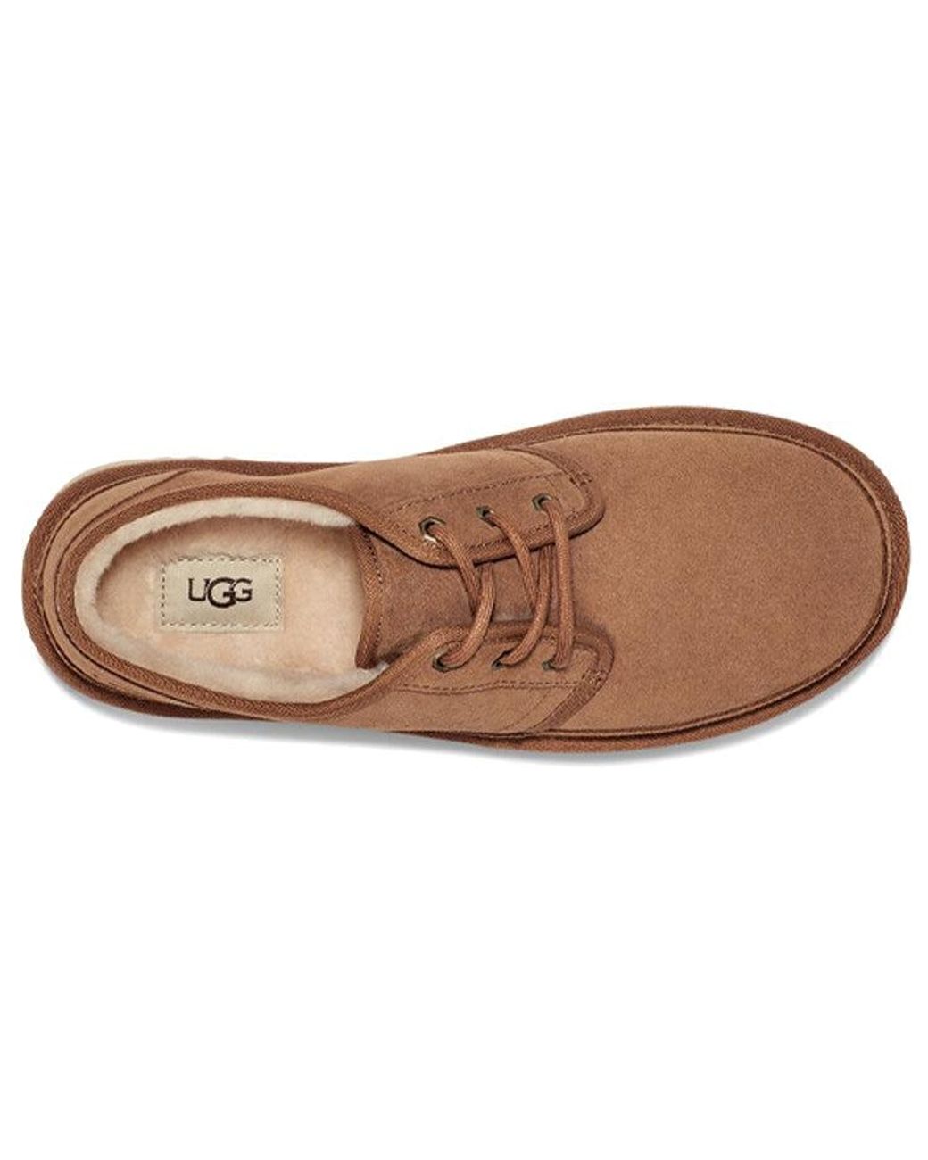 Ugg Brown Neumel Low 'Chestnut' for men