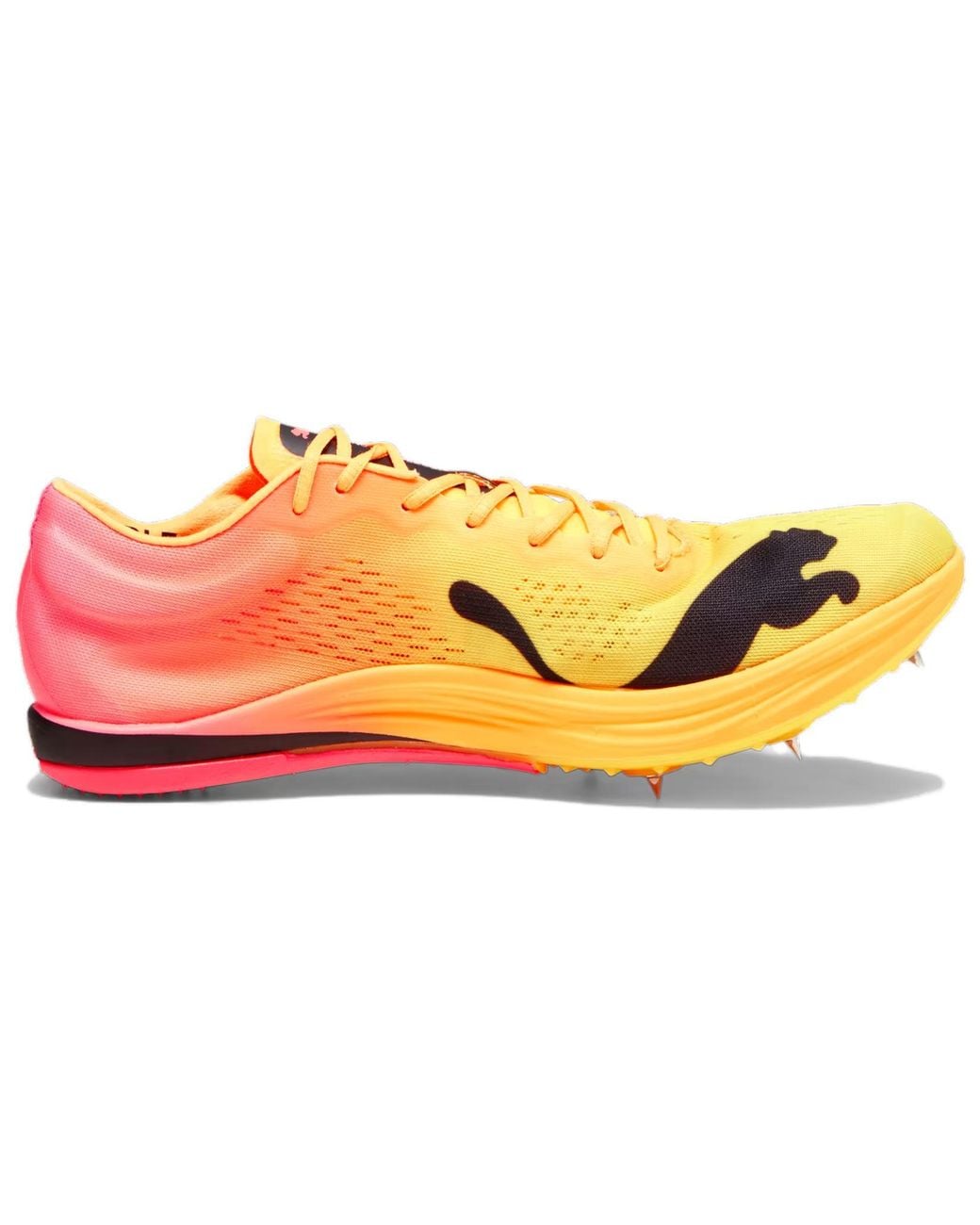 PUMA Yellow Evospeed Long Distance Nitro Elite+ Spike Shoes for men