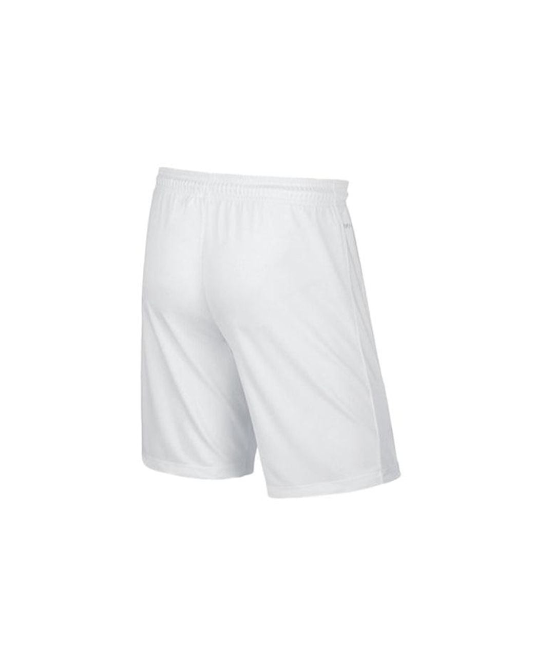 Nike White Logo Printing Thin And Light Casual Sports Shorts for men