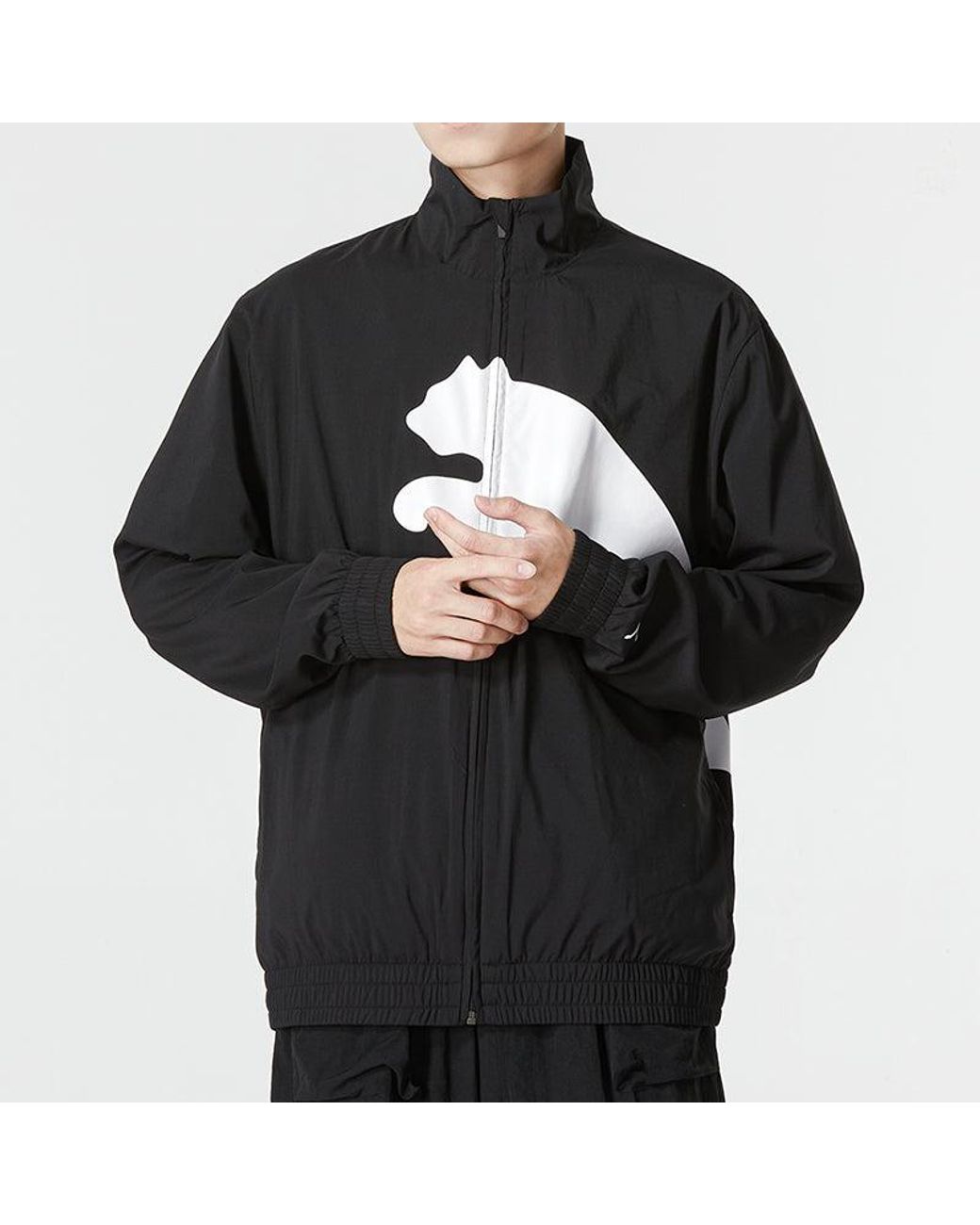 PUMA Blue Training Big Cat Lined Woven Jacket for men