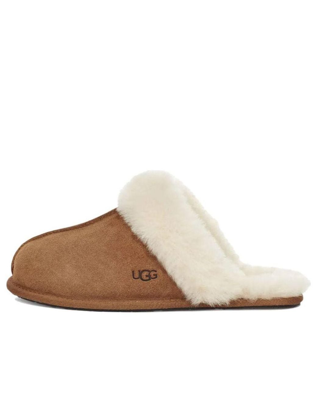Ugg Scuffette Ii Brown Slippers