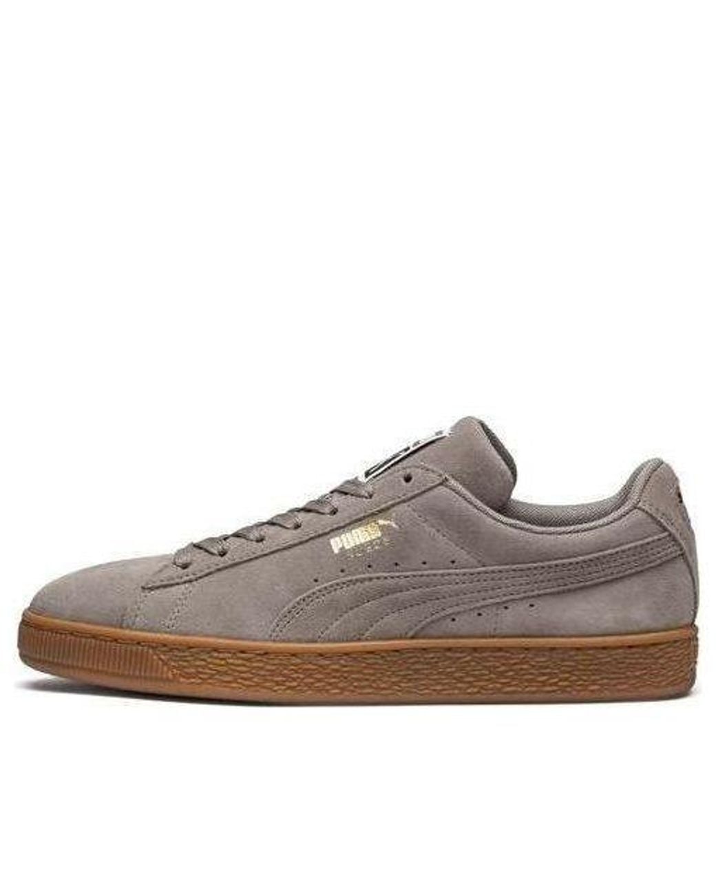 PUMA Brown Suede Classic 'Elephant' for men
