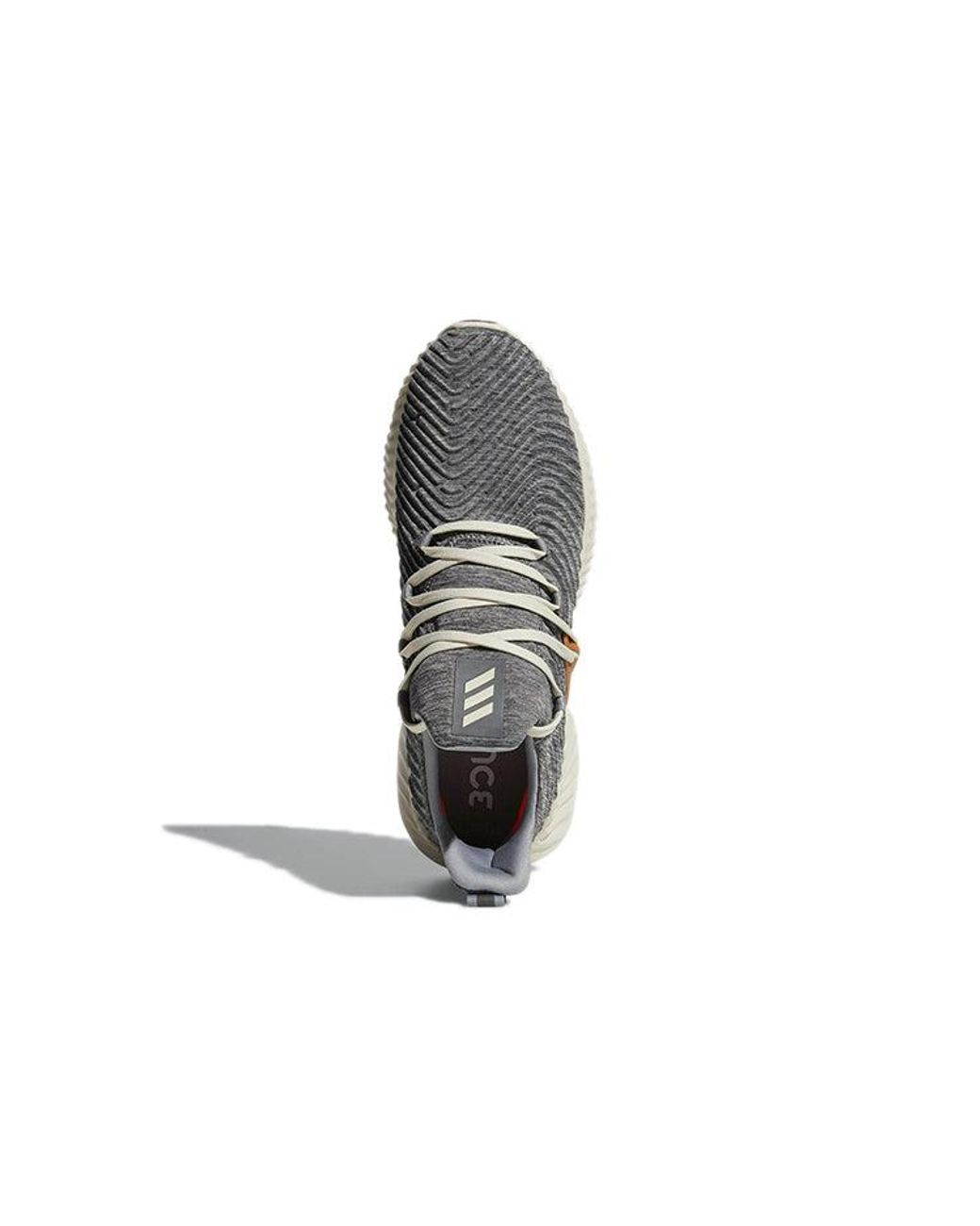 Adidas Gray Alphabounce Instinct 'Core Heather' for men