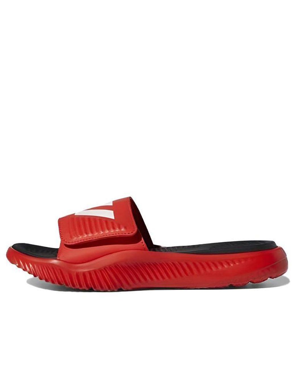 Adidas Red Alphabounce Slide 'Active' for men