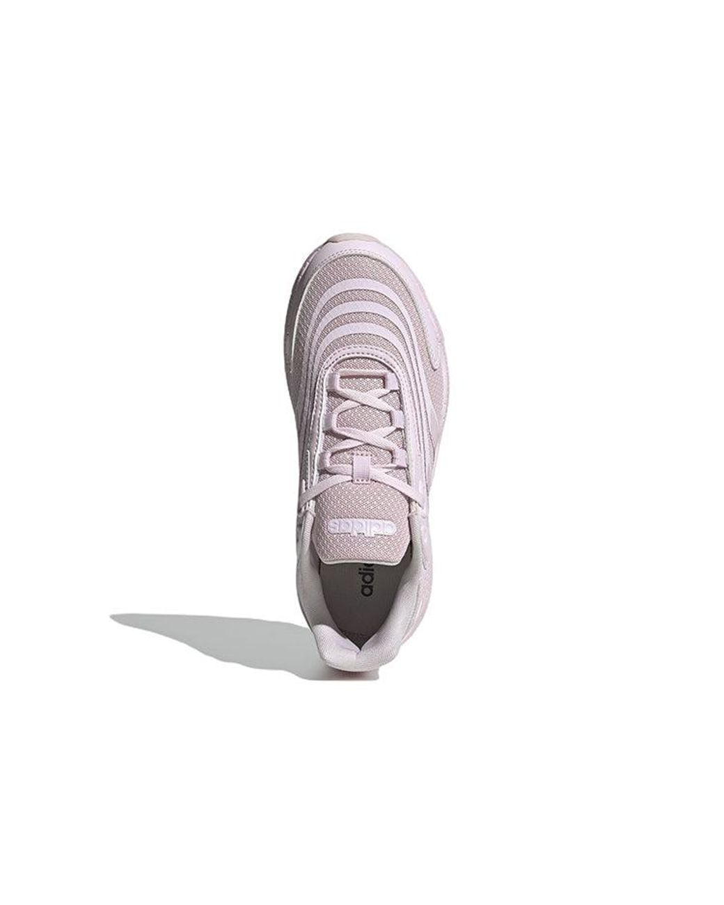 Adidas Purple (Wmns) Crazychaos 2.0