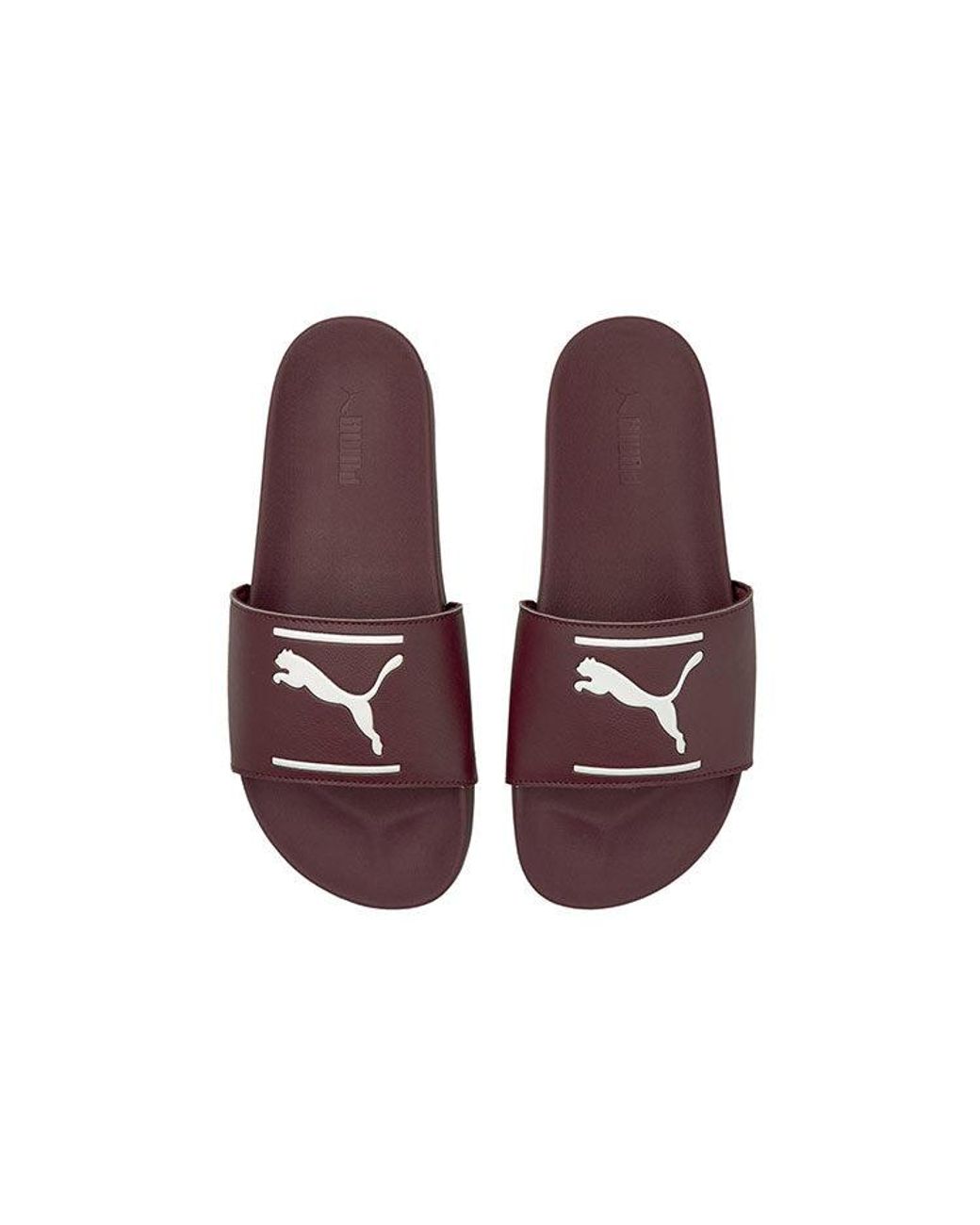PUMA Brown Leadcat Ftr Slippers for men