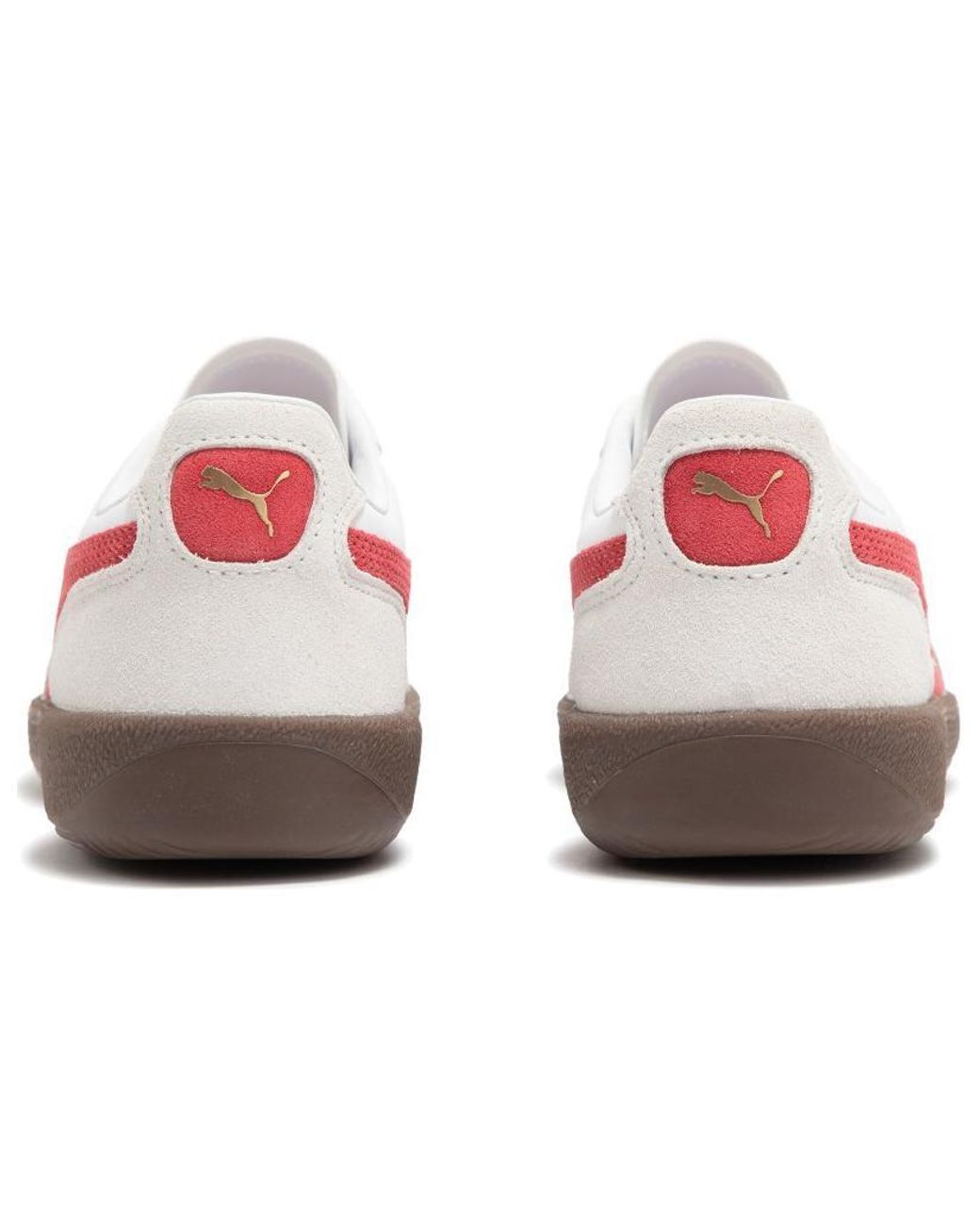 PUMA White Palermo Leather Club' for men
