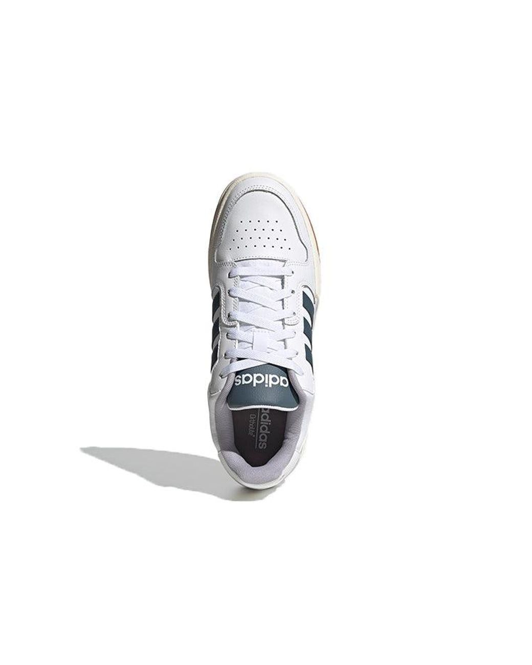 Adidas Blue Entrap Glory' for men