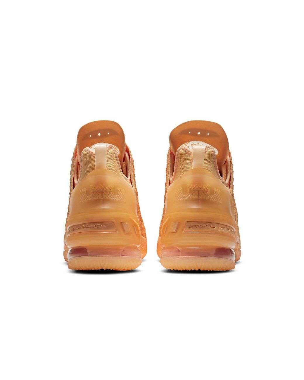 Nike Brown Lebron 18 'Sisterhood' for men