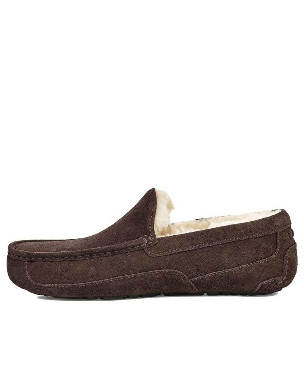 Ugg Brown Ascot Slipper Cozy Athleisure Casual Sports Shoe Fleece Lined for men