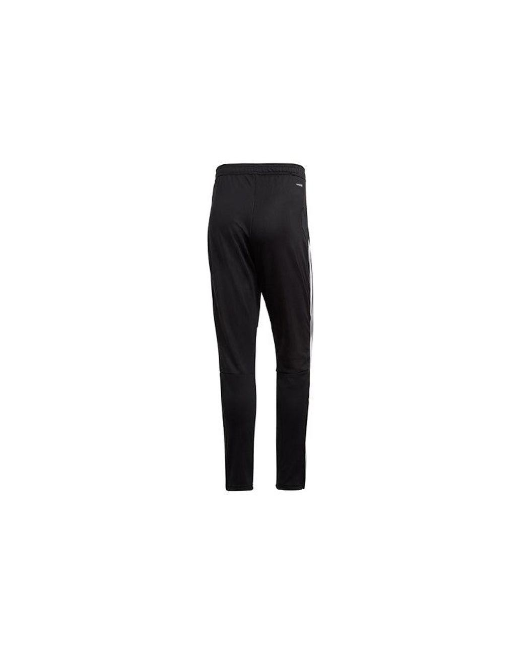 Adidas Black Tiro Ds Pnt Footballsports Long Pants for men