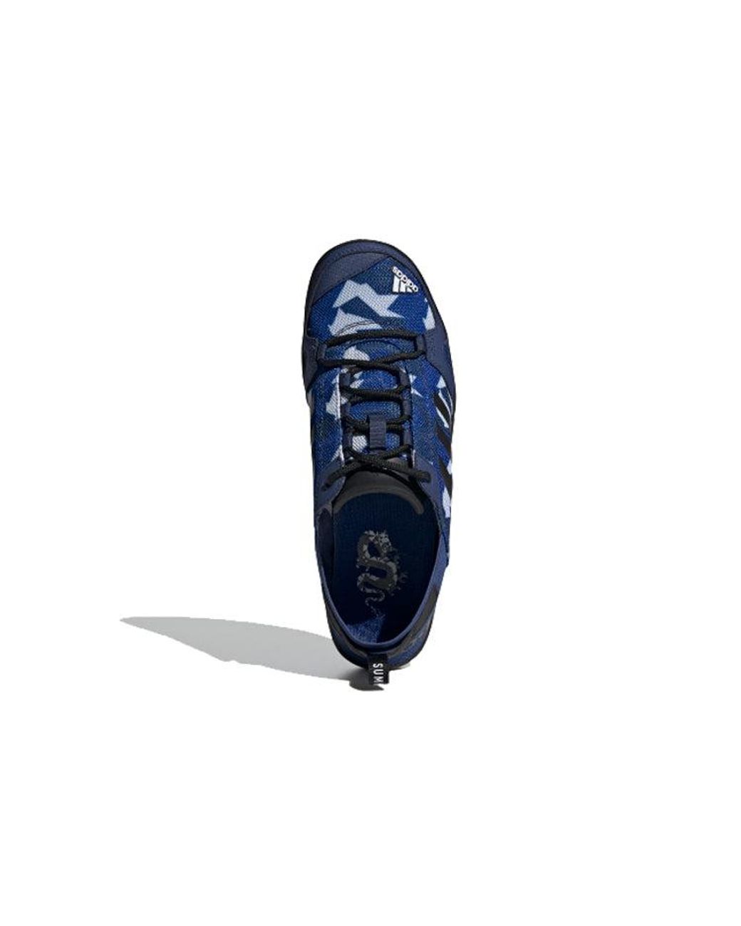 Adidas Blue Terrex Daroga Two 13 S.Rdy for men