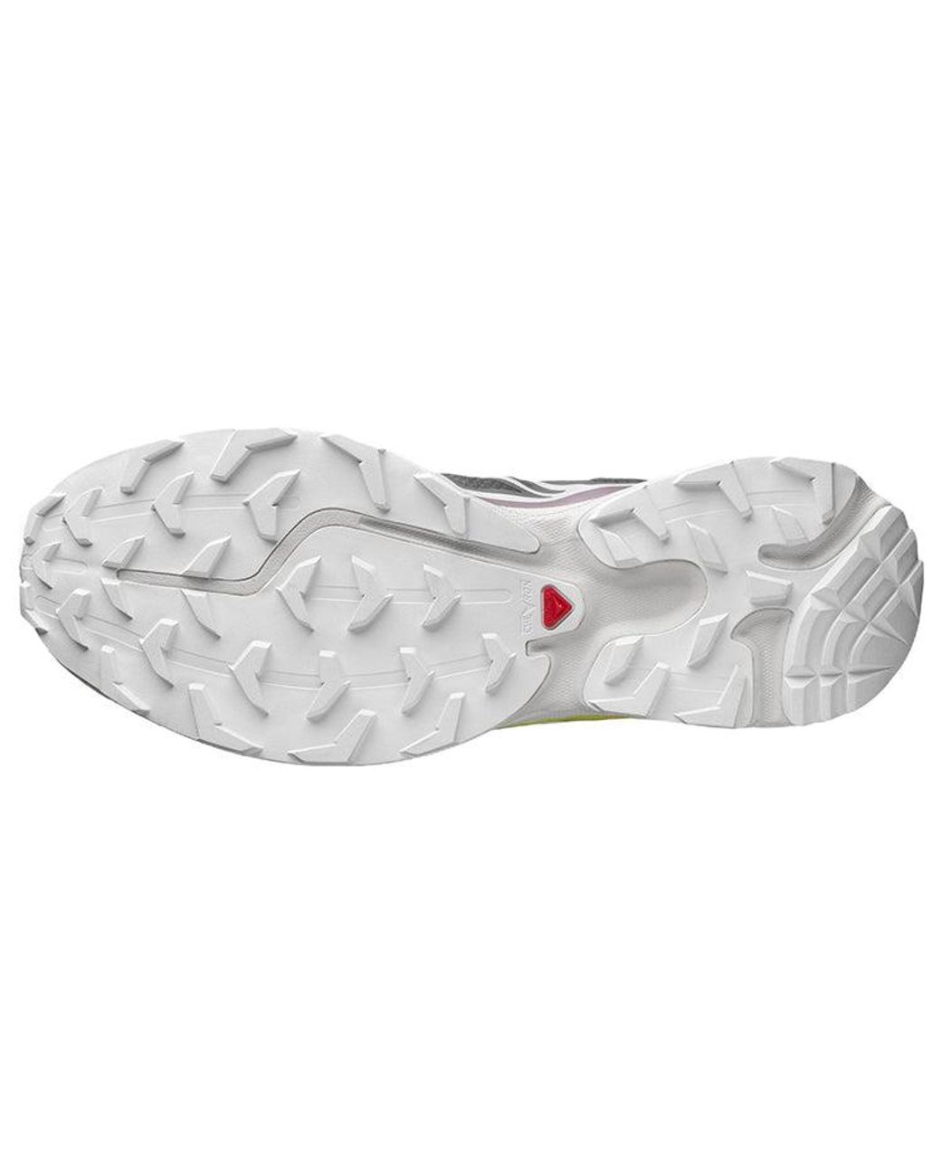 Salomon Blue Xt-6 for men