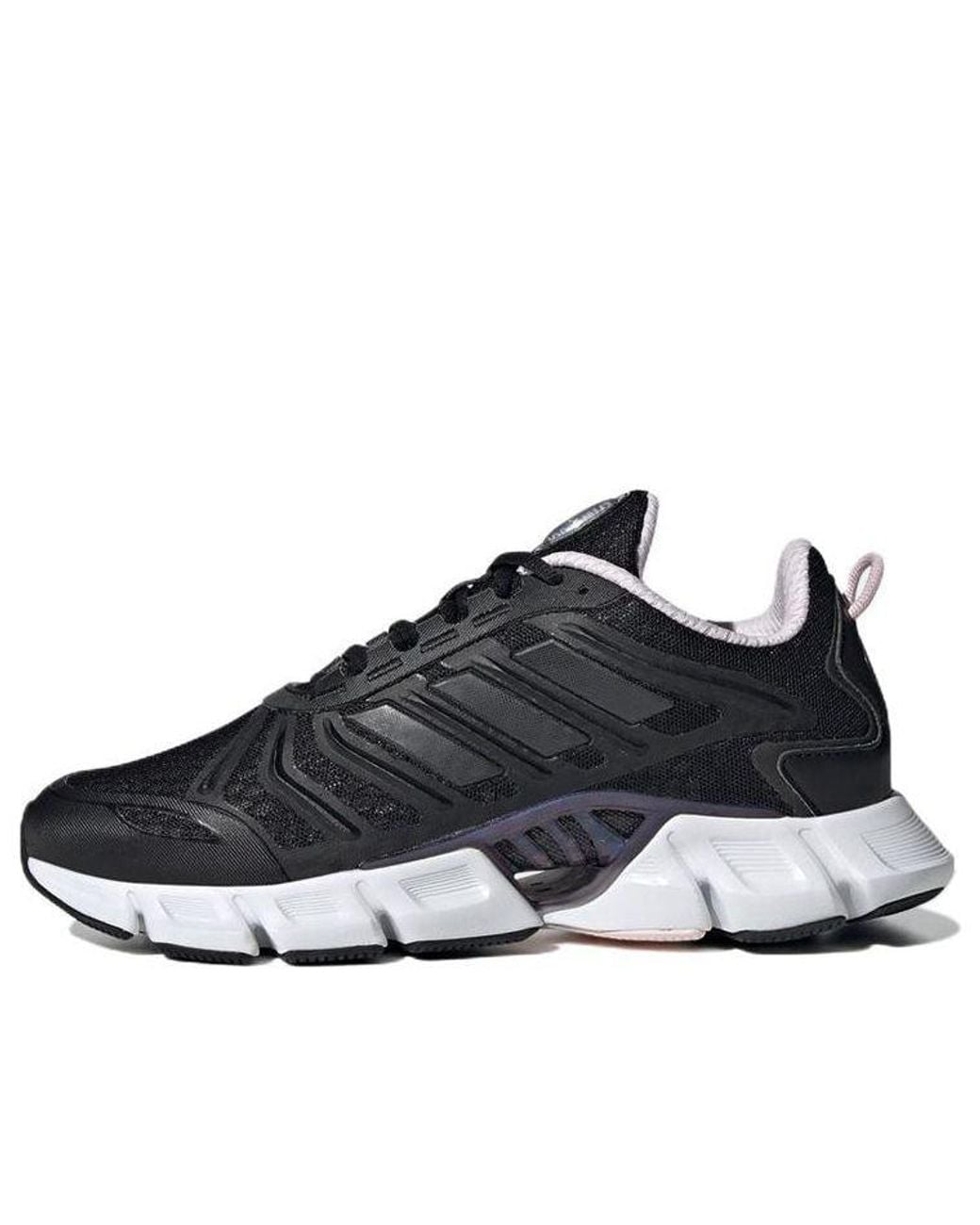 Adidas Blue (Wmns) Climacool 'Core'