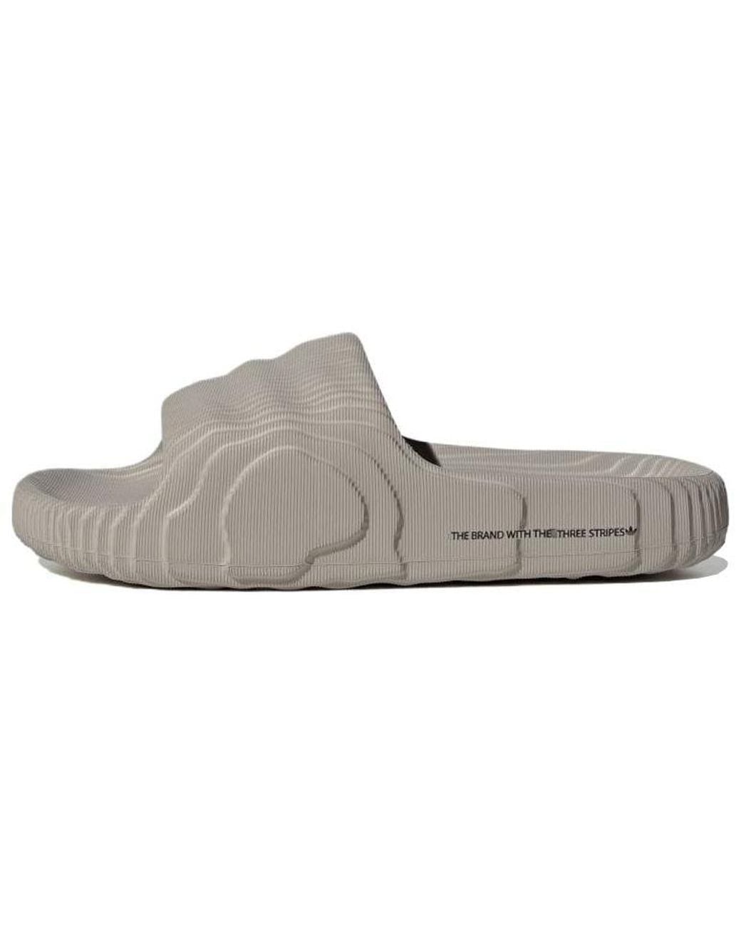 Adidas Gray Ciabatte Adiletet 22 Lightbrown for men