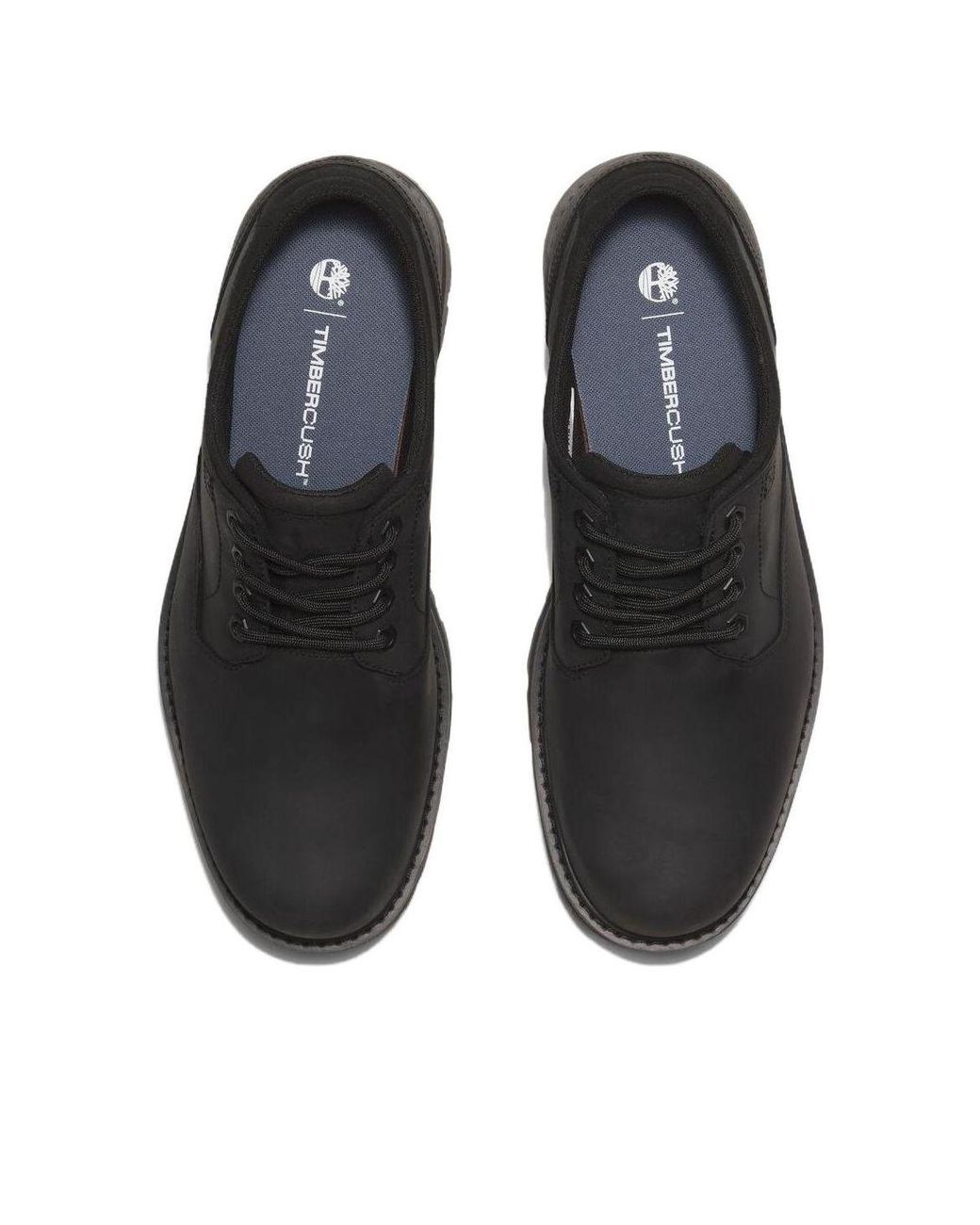 Timberland Black Britton Road for men