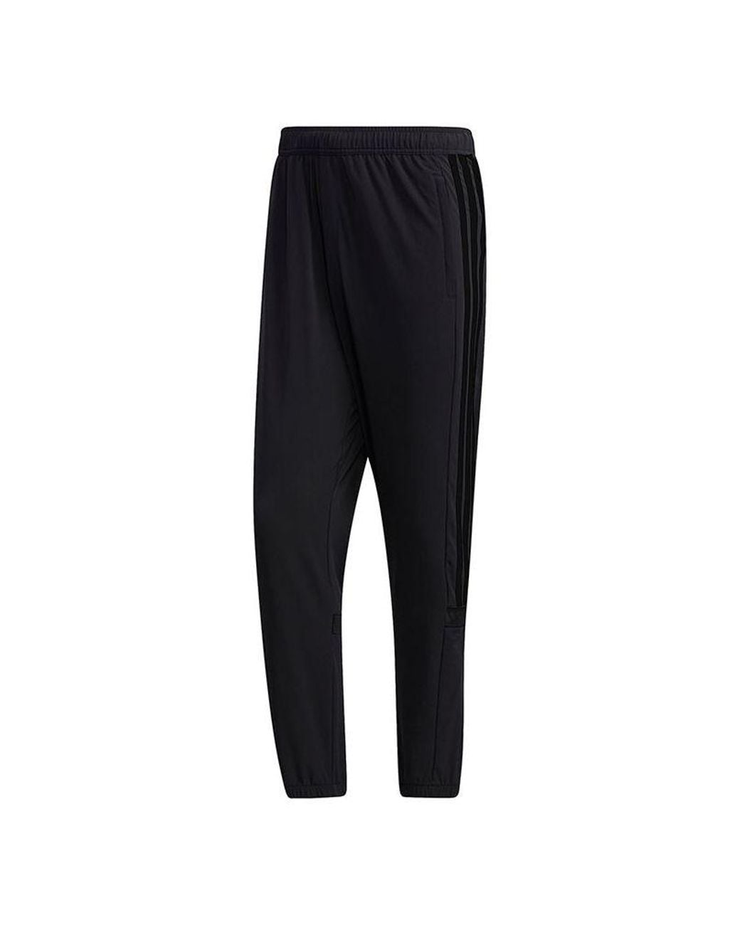 Adidas Black Ub Pnt Tiro Casual Sports Pants for men