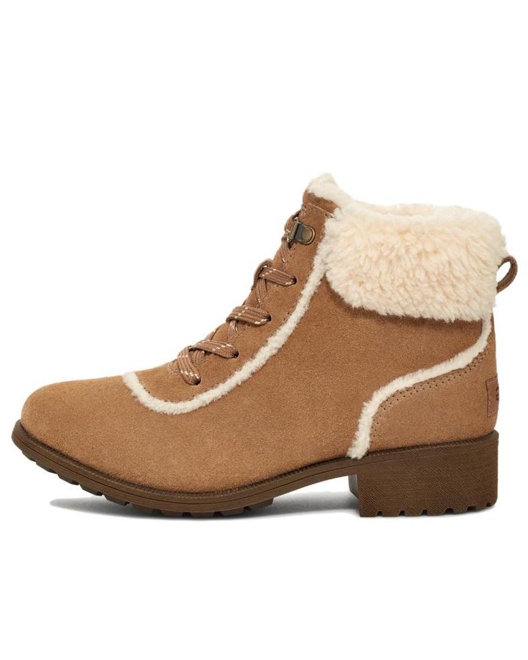 Ugg Brown (Wmns) Bodie Fur Lace Boot 'Chestnut'