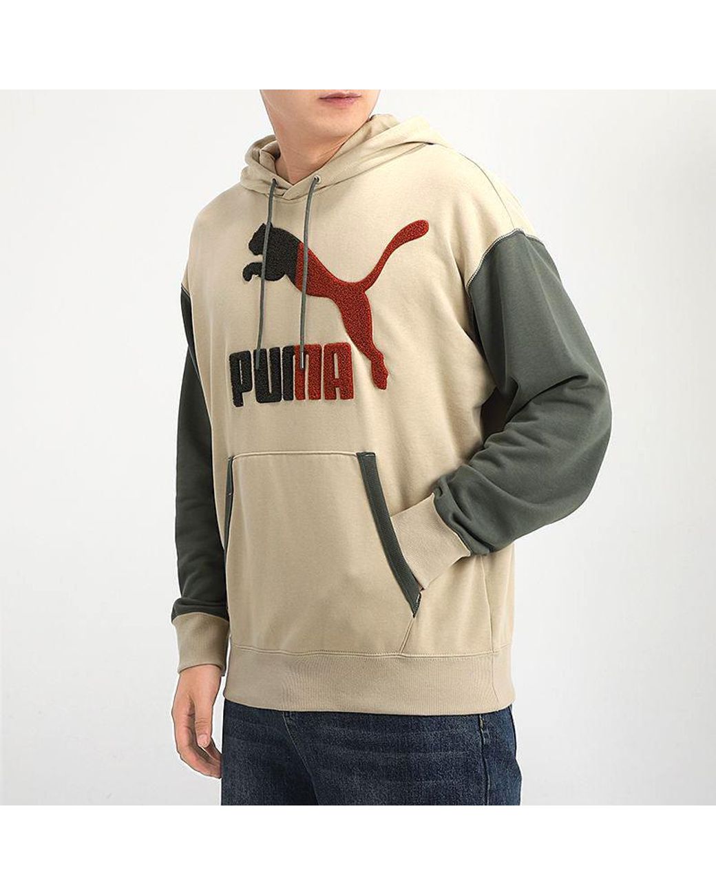 PUMA Natural Colorblock Hooded Sports Colorblock for men